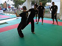 mich380 (4).JPG